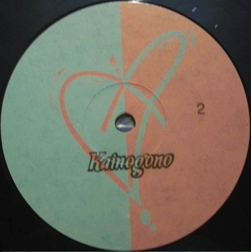 Группа «МИССИЯ АНТИЦИКЛОН». Kainogono