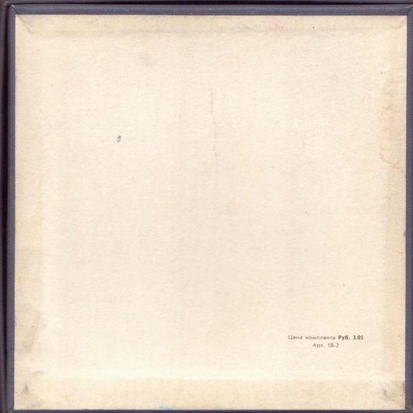 Голоса птиц в природе