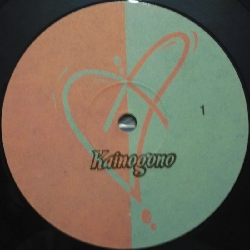 Группа «МИССИЯ АНТИЦИКЛОН». Kainogono