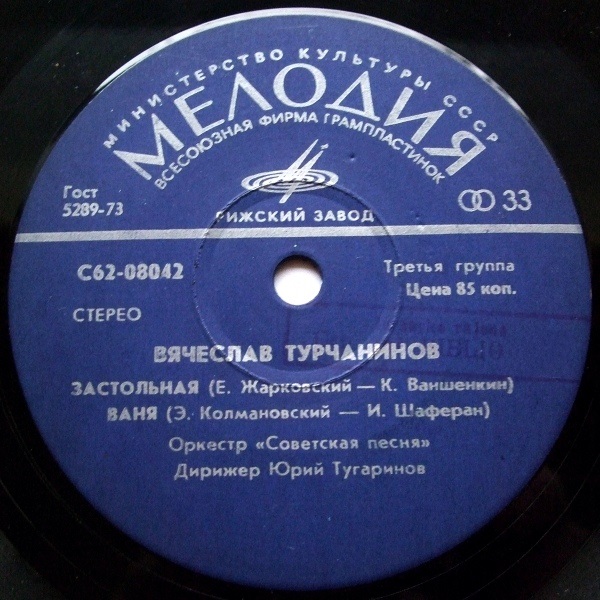 Вячеслав Турчанинов