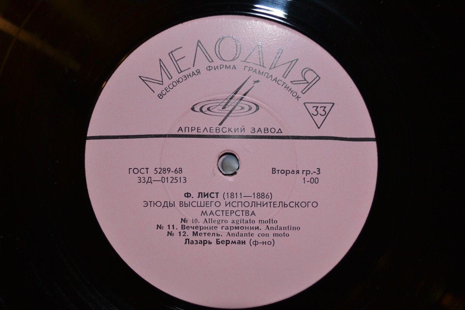 Ф. ЛИСТ Этюды высшего исполнительского мастерства (Лазарь Берман, ф-но)
