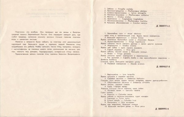 Голоса птиц в природе
