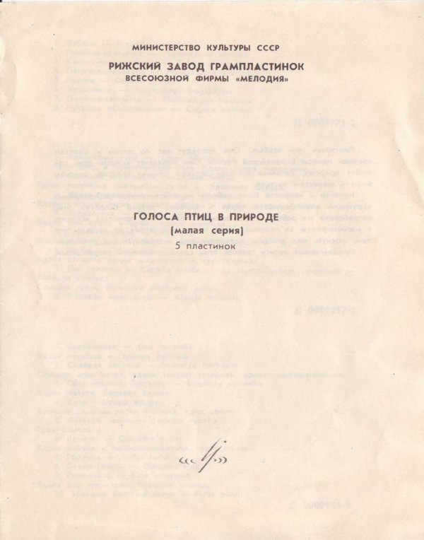 Голоса птиц в природе