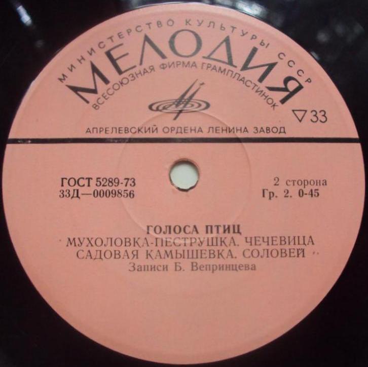 Голоса птиц