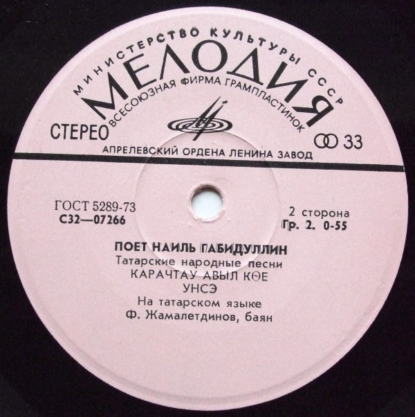 Наиль ГАБИДУЛЛИН: «Поёт Наиль Габидуллин» (на татарском языке)