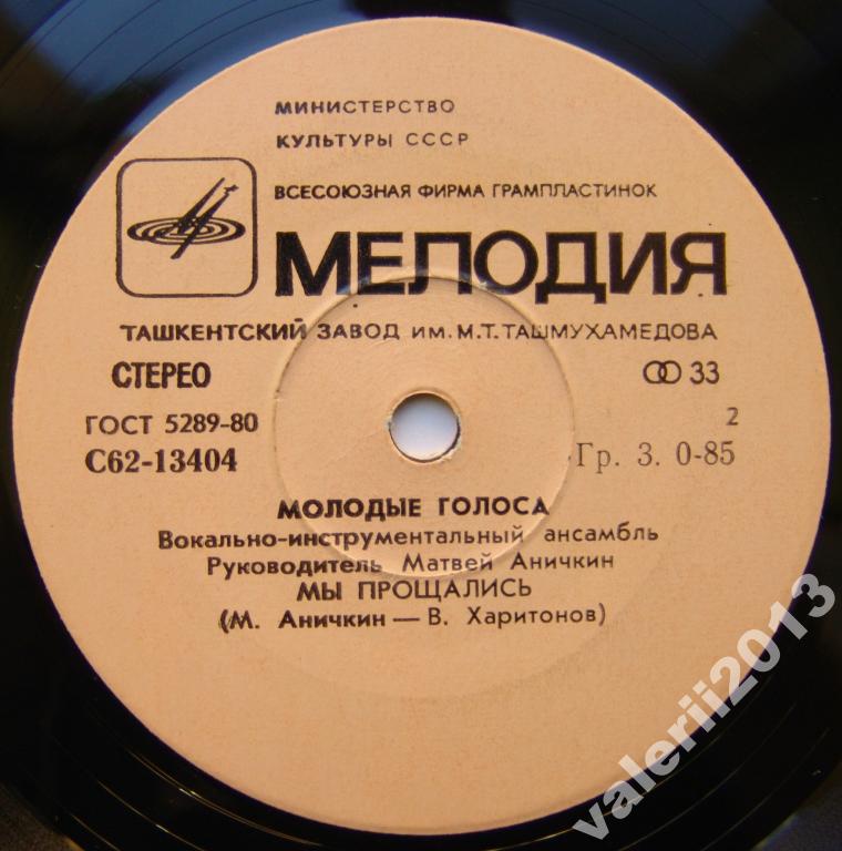 ВИА «МОЛОДЫЕ ГОЛОСА». Руководитель Матвей Аничкин