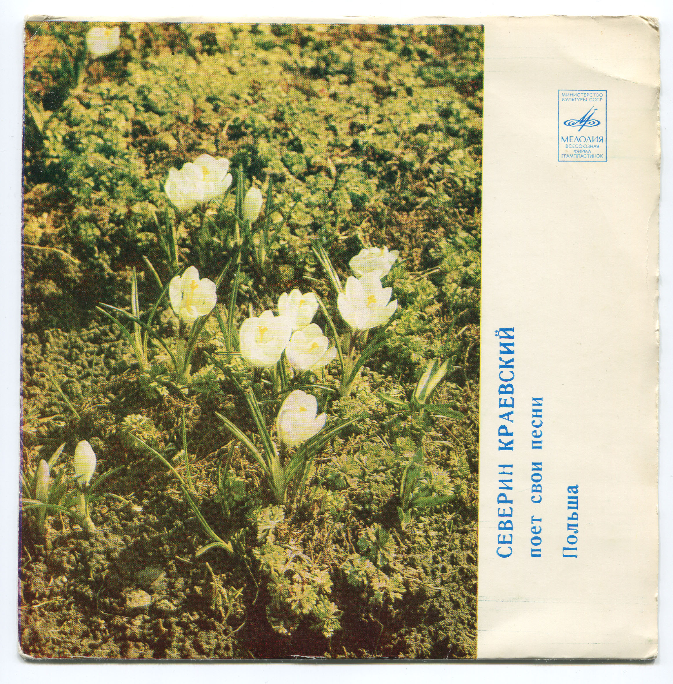 Северин КРАЕВСКИЙ (Польша) поёт свои песни