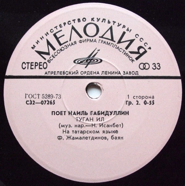 Наиль ГАБИДУЛЛИН: «Поёт Наиль Габидуллин» (на татарском языке)