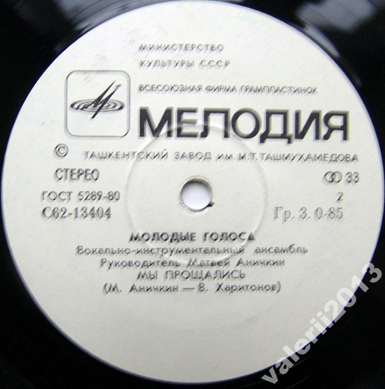 ВИА «МОЛОДЫЕ ГОЛОСА». Руководитель Матвей Аничкин