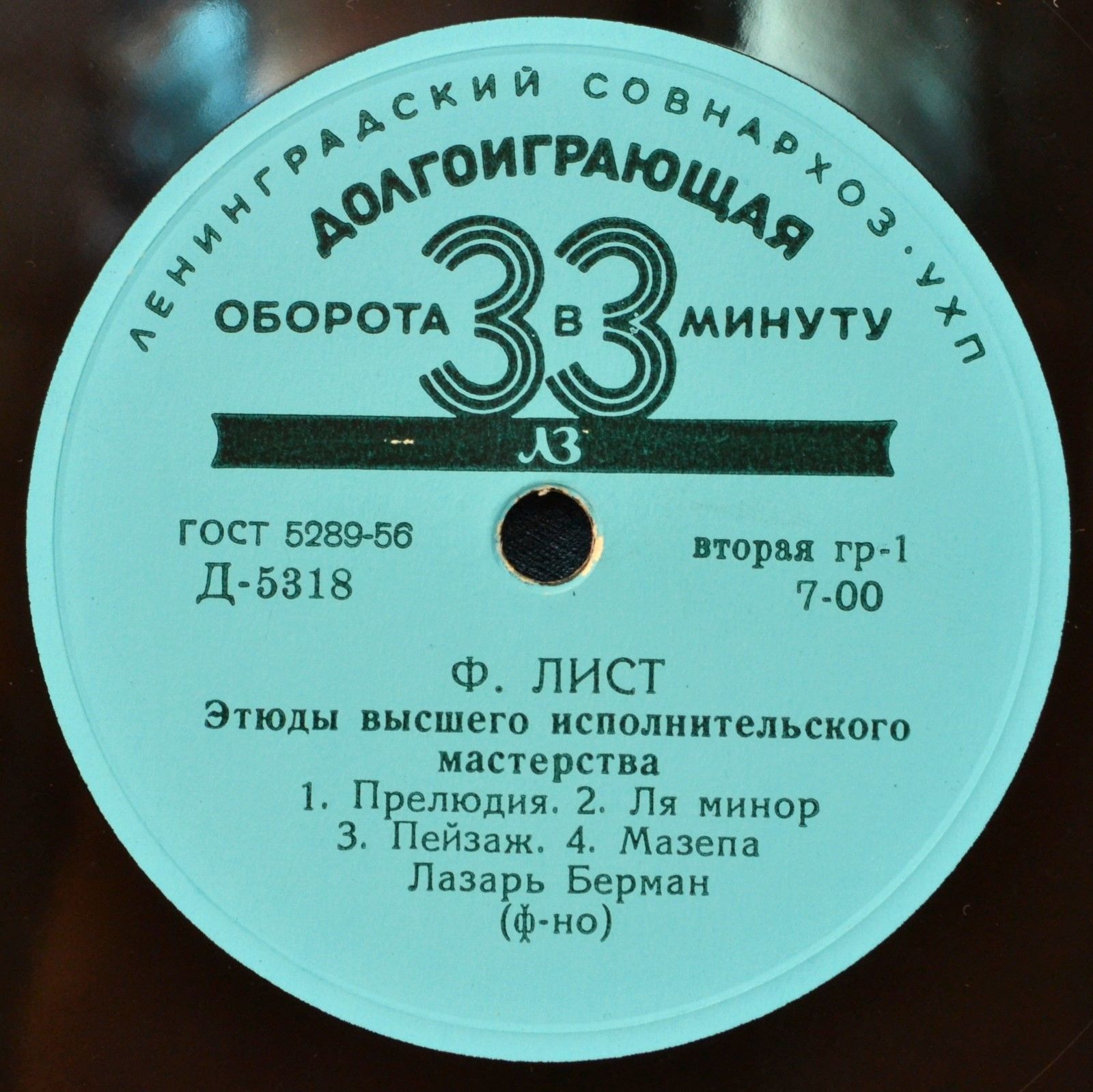 Ф. ЛИСТ Этюды высшего исполнительского мастерства (Лазарь Берман, ф-но)