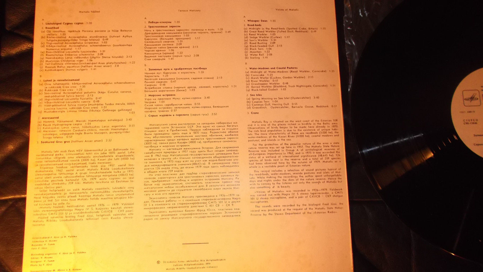 ГОЛОСА МАТСАЛУ (Matsalu Hääled) - голоса птиц