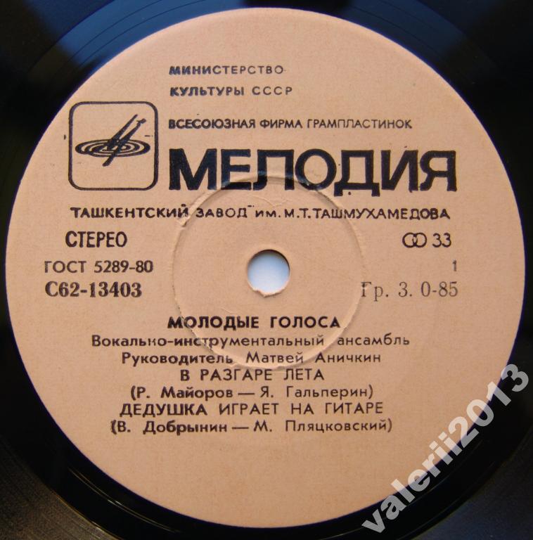 ВИА «МОЛОДЫЕ ГОЛОСА». Руководитель Матвей Аничкин