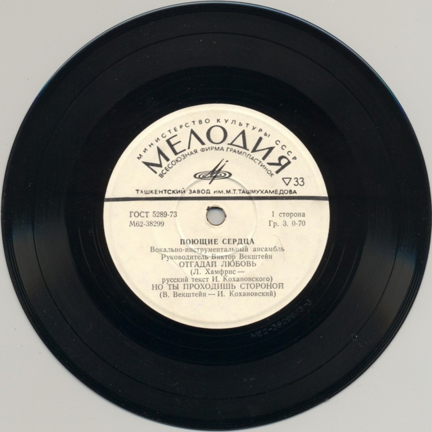 Поющие сердца. Вокально-инструментальный ансамбль