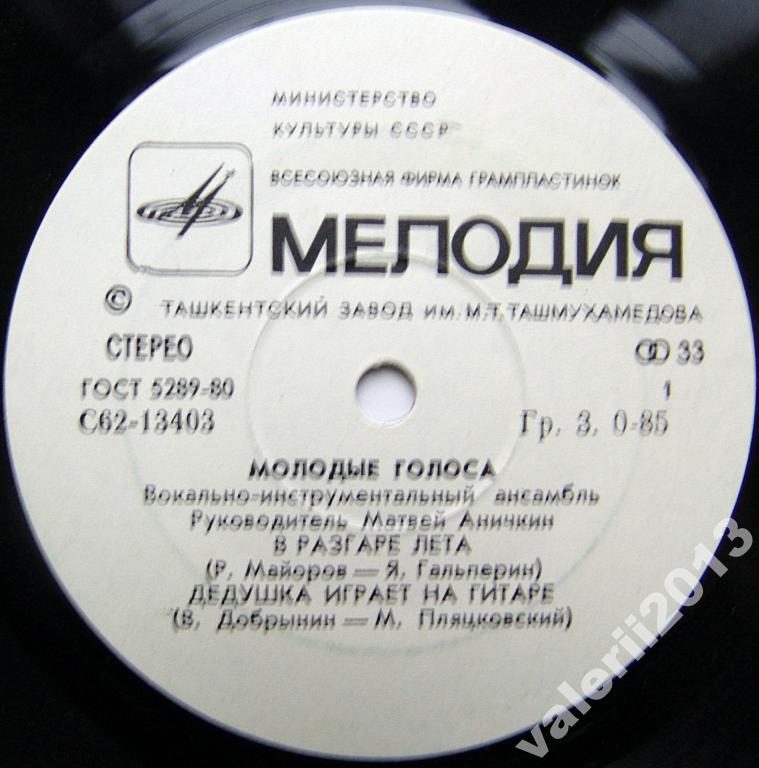 ВИА «МОЛОДЫЕ ГОЛОСА». Руководитель Матвей Аничкин