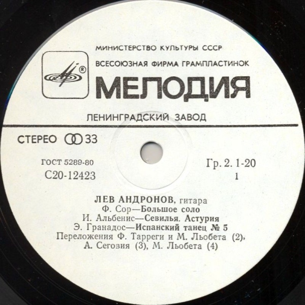 Лев Андронов‎, гитара