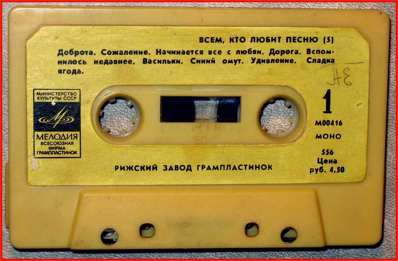 Всем, кто любит песню (5)