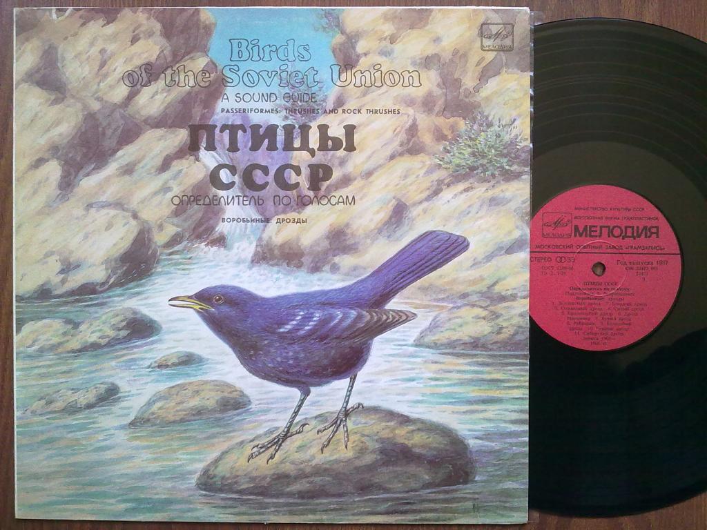 ПТИЦЫ СССР. Определитель по голосам (подготовлен Б. Вепринцевым). Воробьиные: дрозды.