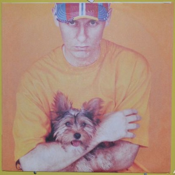 PET SHOP BOYS. Introspective