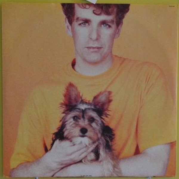 PET SHOP BOYS. Introspective