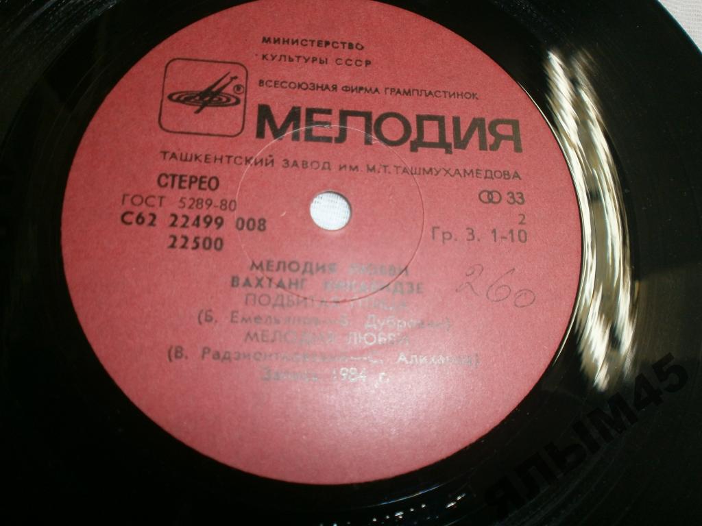 Вахтанг Кикабидзе. Мелодия любви