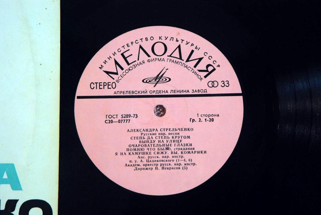 Александра Стрельченко. Родные напевы