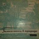 ГОЛОСА ПТИЦ В ПРИРОДЕ. Серия 4: Птицы Сибири