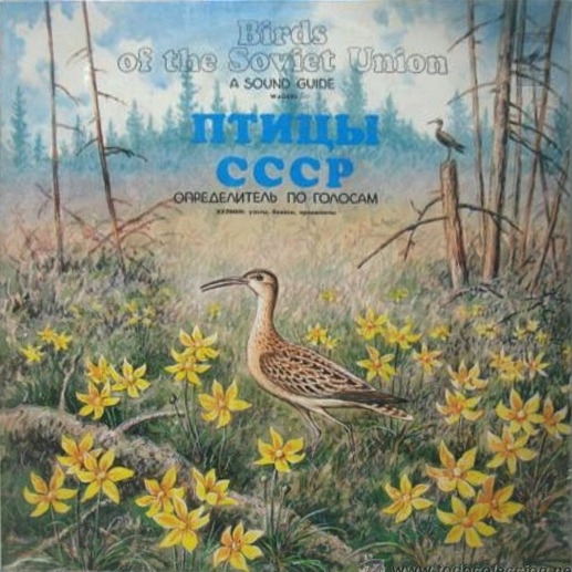 ПТИЦЫ СССР. Определитель по голосам (подготовлен Б. Вепринцевым).