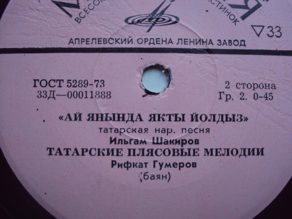 Татарская музыка (И. Шакиров / Р. Гумеров, баян)