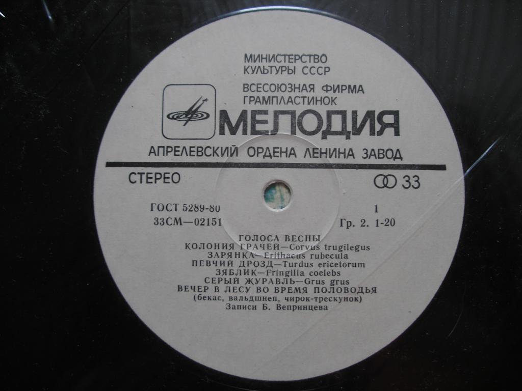 ГОЛОСА ВЕСНЫ  (записи пения и голосов птиц)