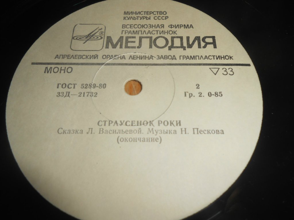 Страусенок Роки. Сказка Л. Васильевой