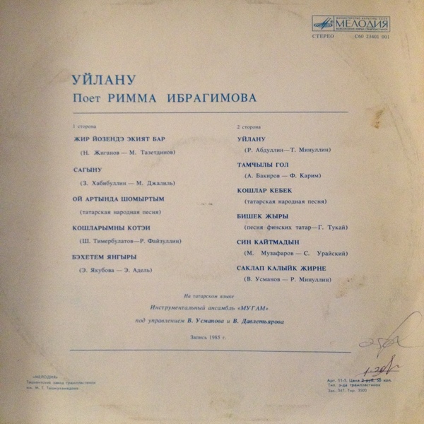 Римма ИБРАГИМОВА (Римма Ибраһимова): «Размышления / Уйлану» (на татарском языке)