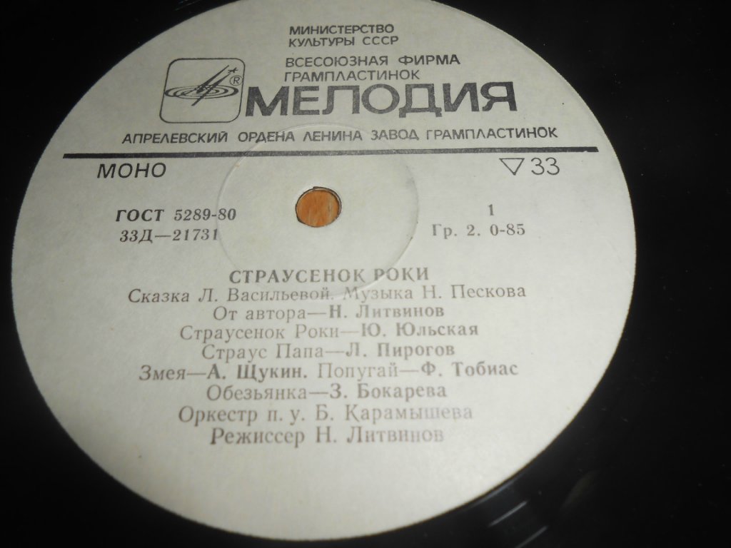 Страусенок Роки. Сказка Л. Васильевой