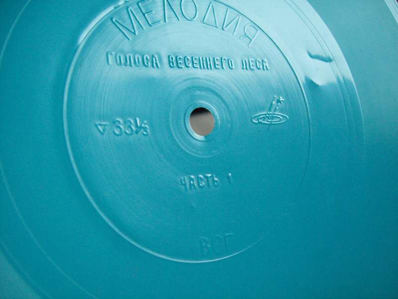 Приложение к книге Александра Баркова «Голоса весеннего леса»