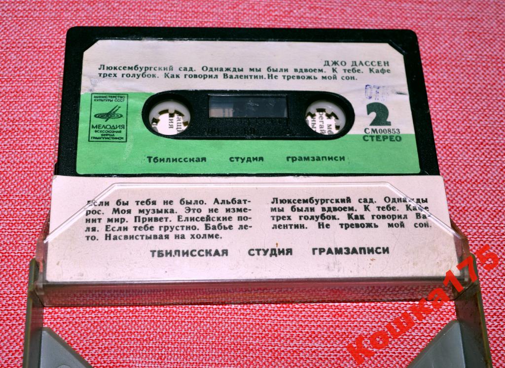 Поет Джо Дассен