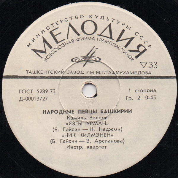 Камиль Валеев (Башкирская АССР)