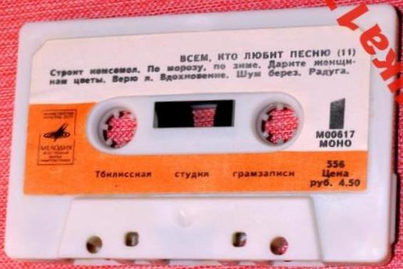 Всем, кто любит песню (11)