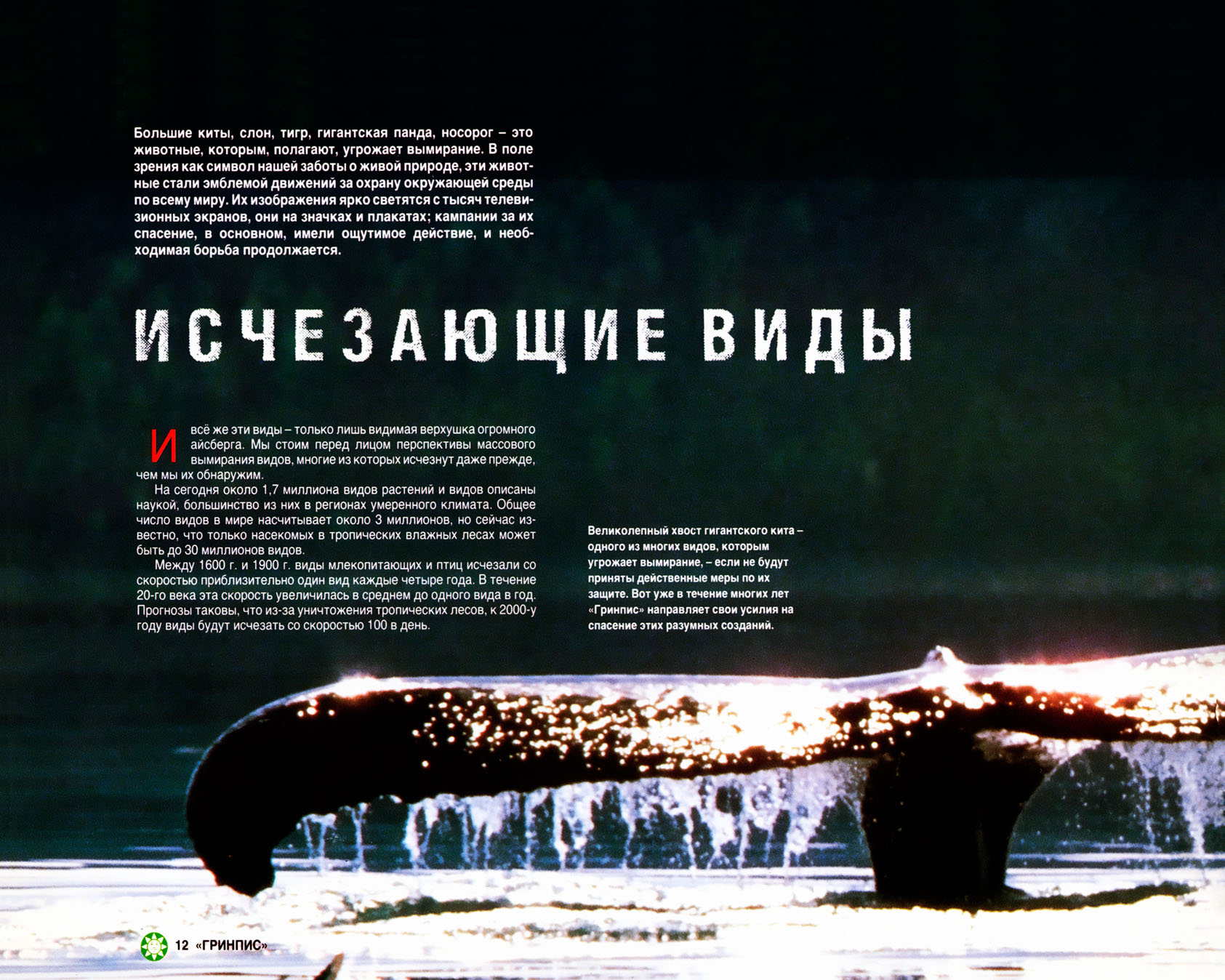 Greenpeace. Breakthrough