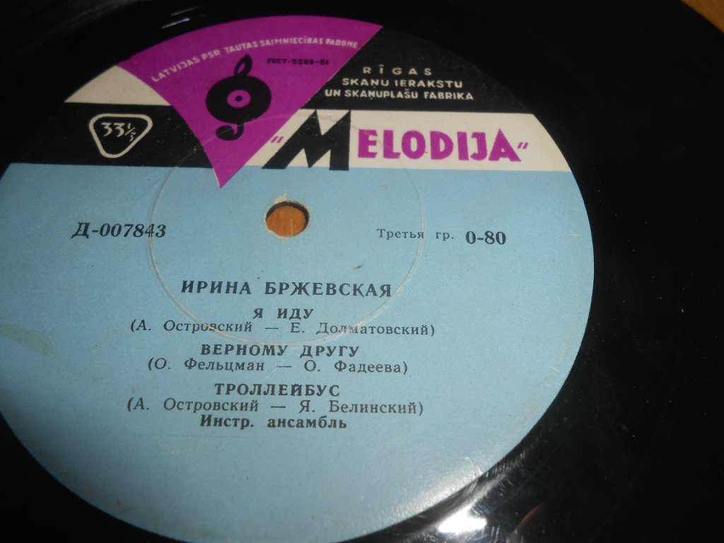 Ирина Бржевская