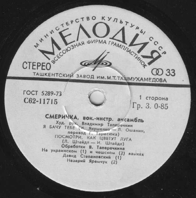 ВИА «СМЕРИЧКА», худ. рук. Владимир Таперичкин.