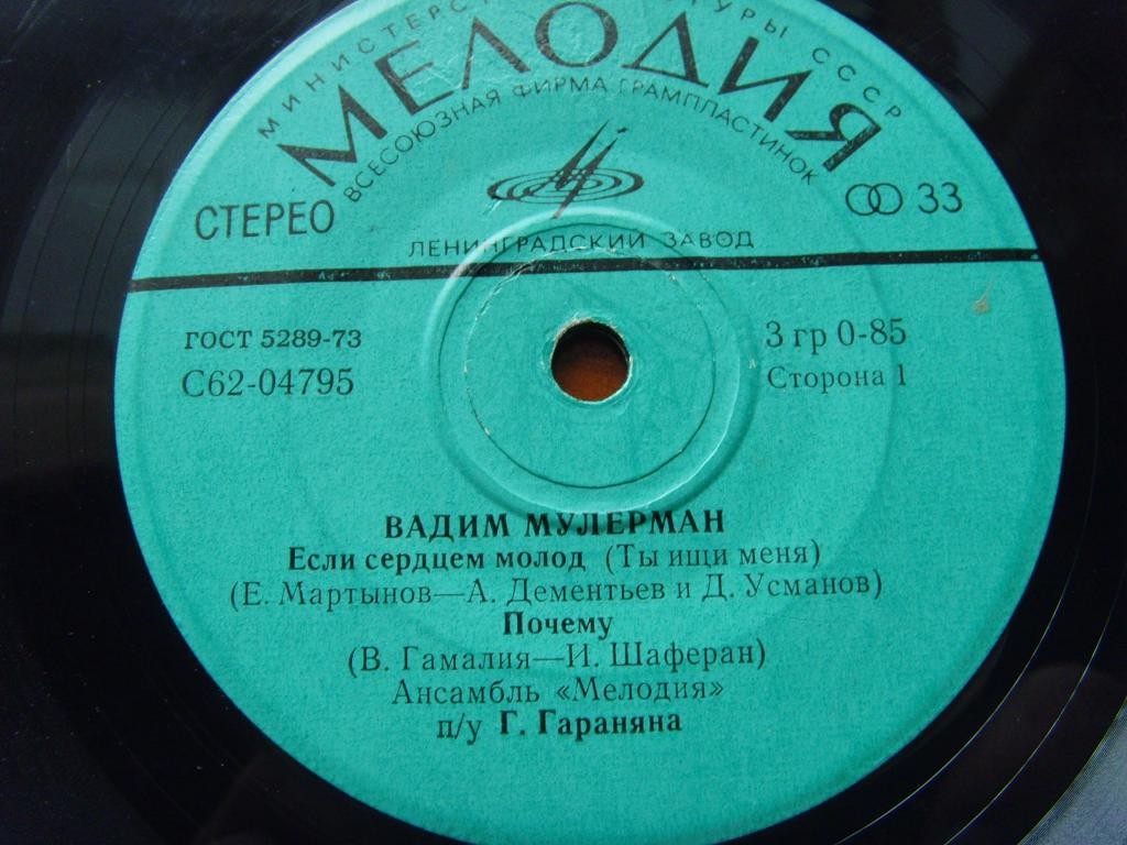 Вадим МУЛЕРМАН