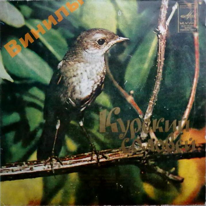 Курский соловей