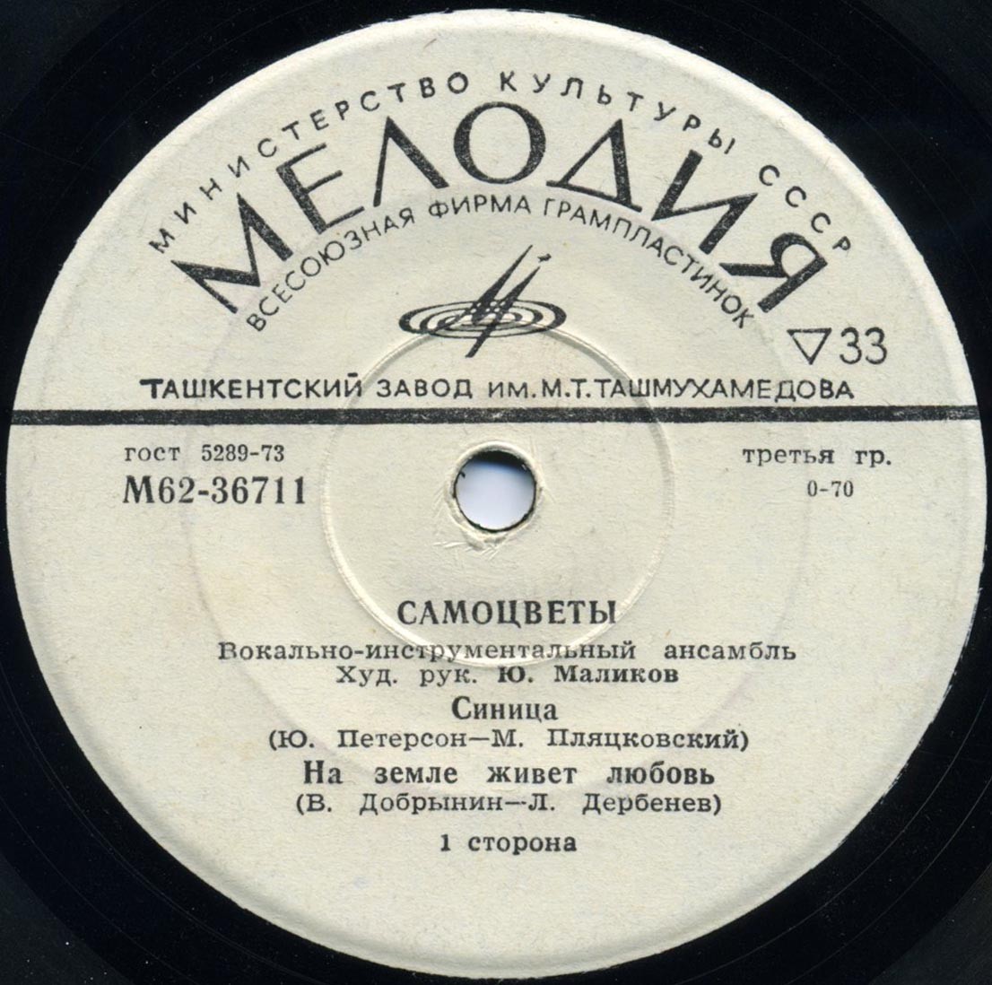 Вокально-инструментальный ансамбль "Самоцветы"