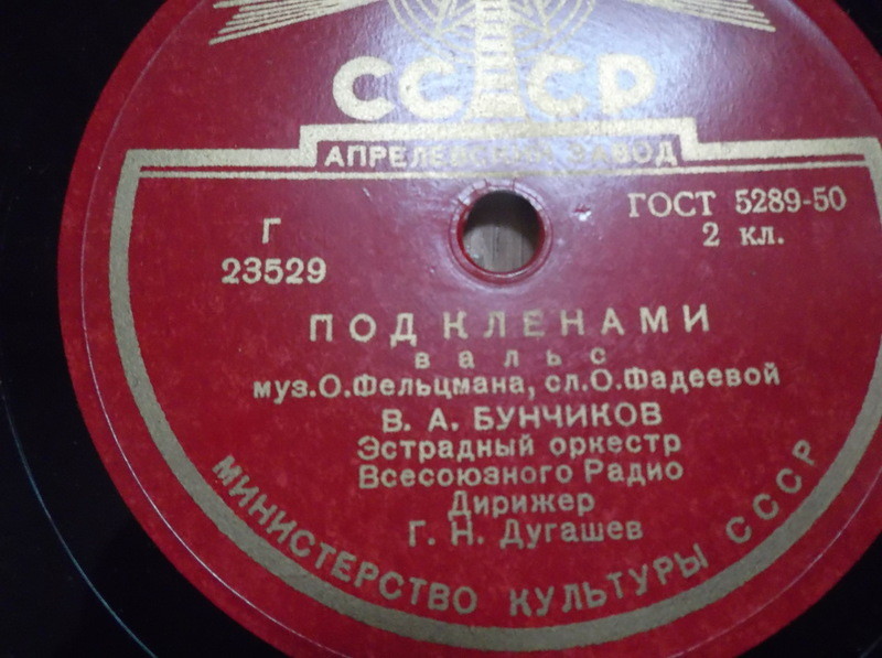 Владимир Бунчиков - Под клёнами / Карнавальный вальс