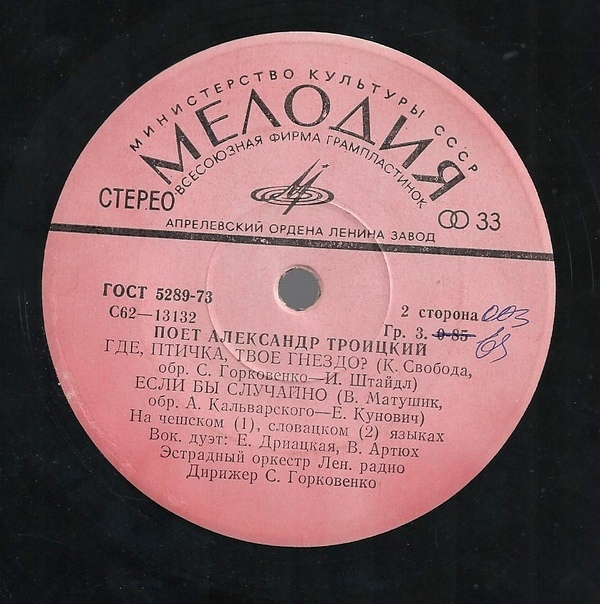 Поет Александр Троицкий