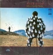 Pink Floyd. Delicate Sound of Thunder (live)