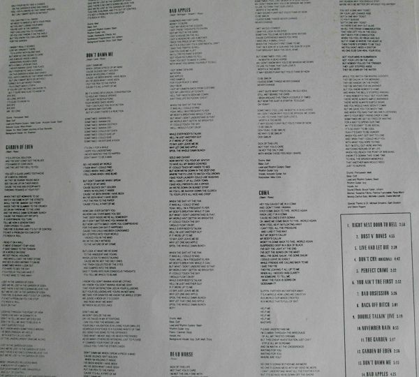 GUNS N' ROSES. Use Your illusion I
