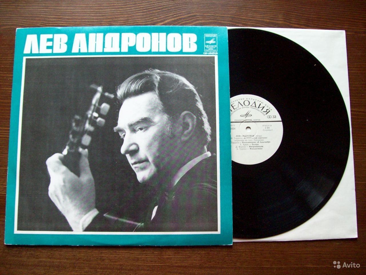 Лев Андронов‎, гитара