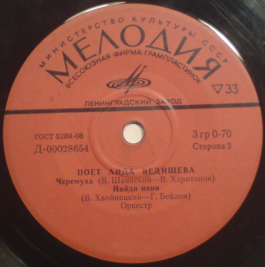 Поет Аида Ведищева