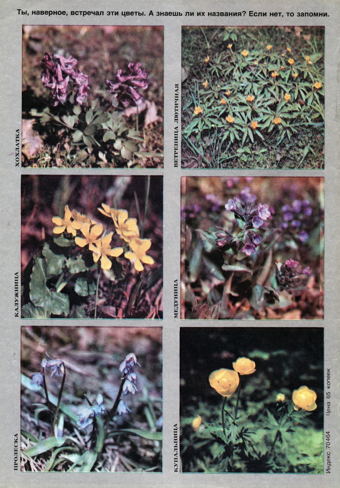 Колобок 1979 № 5