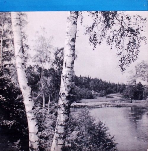 Леонид Коган (скрипка)